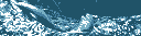 diverdolphins.gif